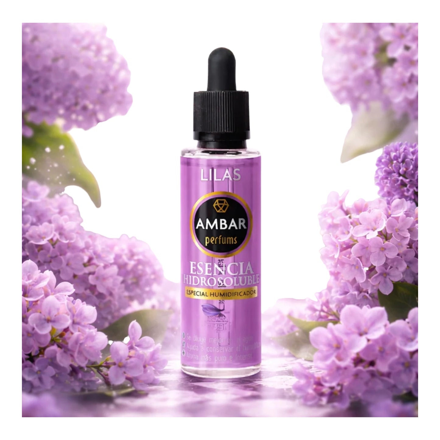 ESSENCE CONCENTRÉ AMBAR LILA
