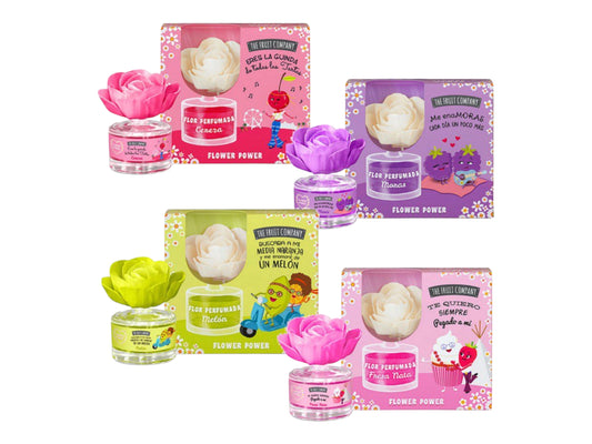 COFFRET FLEUR MIKADO THE FRUIT COMPANY